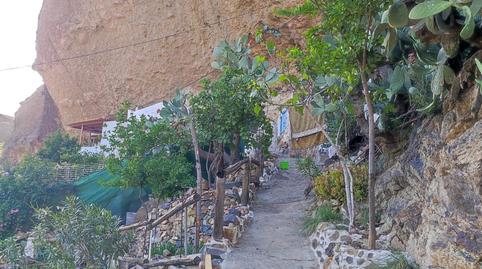 Photo 3 of Country house for sale in Lugar Diseminado Ronda, Tejeda, Las Palmas