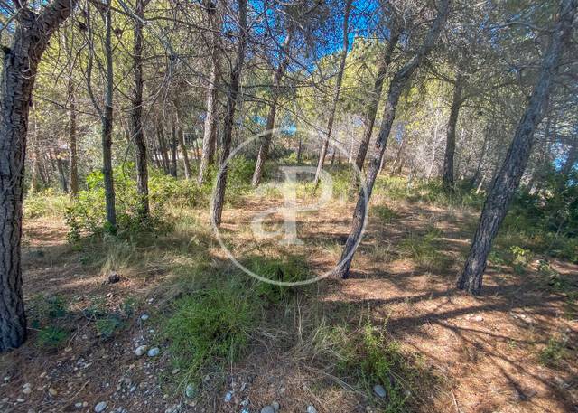 Terreno residencial en Venta en Carrer Agramunt en Castellnou - Can Mir - Can Solà