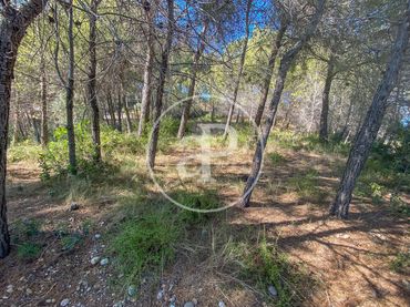 Terreno residenziale in vendita a Carrer Agramunt
