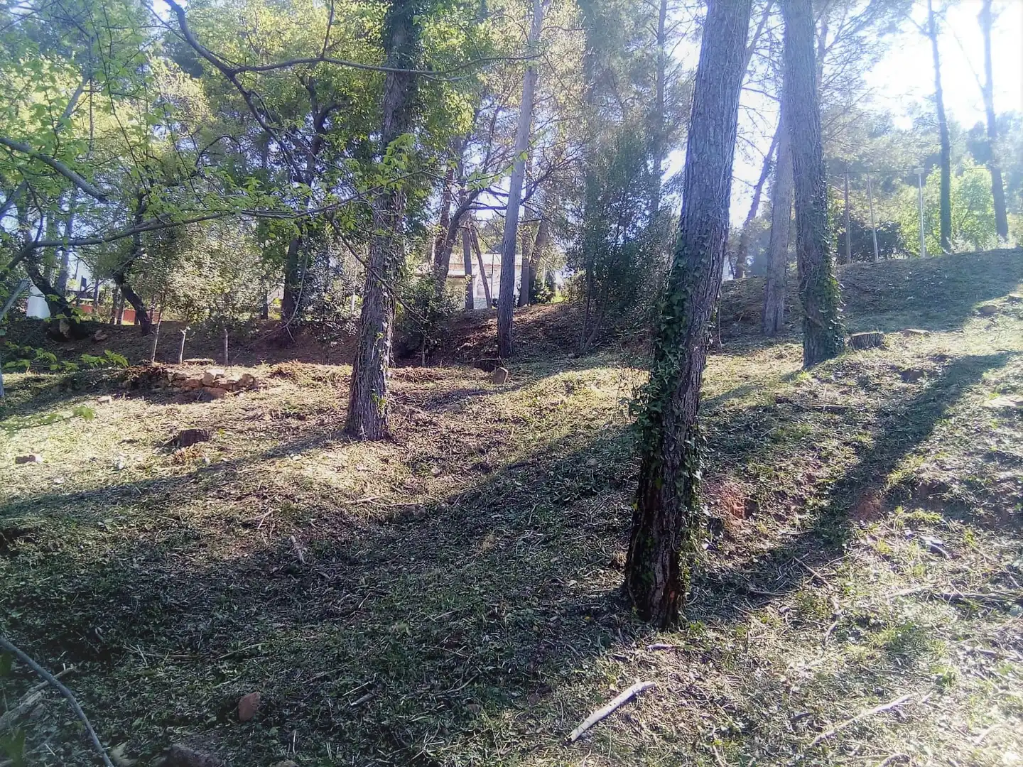 Terreno residencial en venta en Corbera de Llobregat, imagen 3