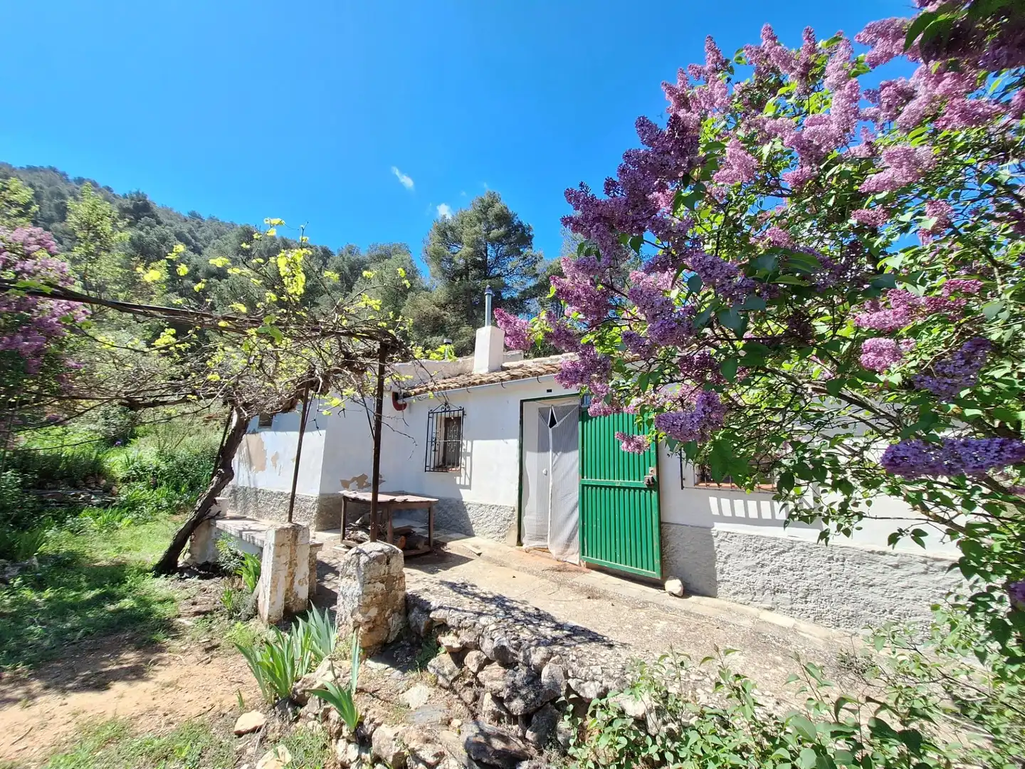 Vista exterior de Finca rústica en venta en Alcoy / Alcoi con Trastero y Amueblado