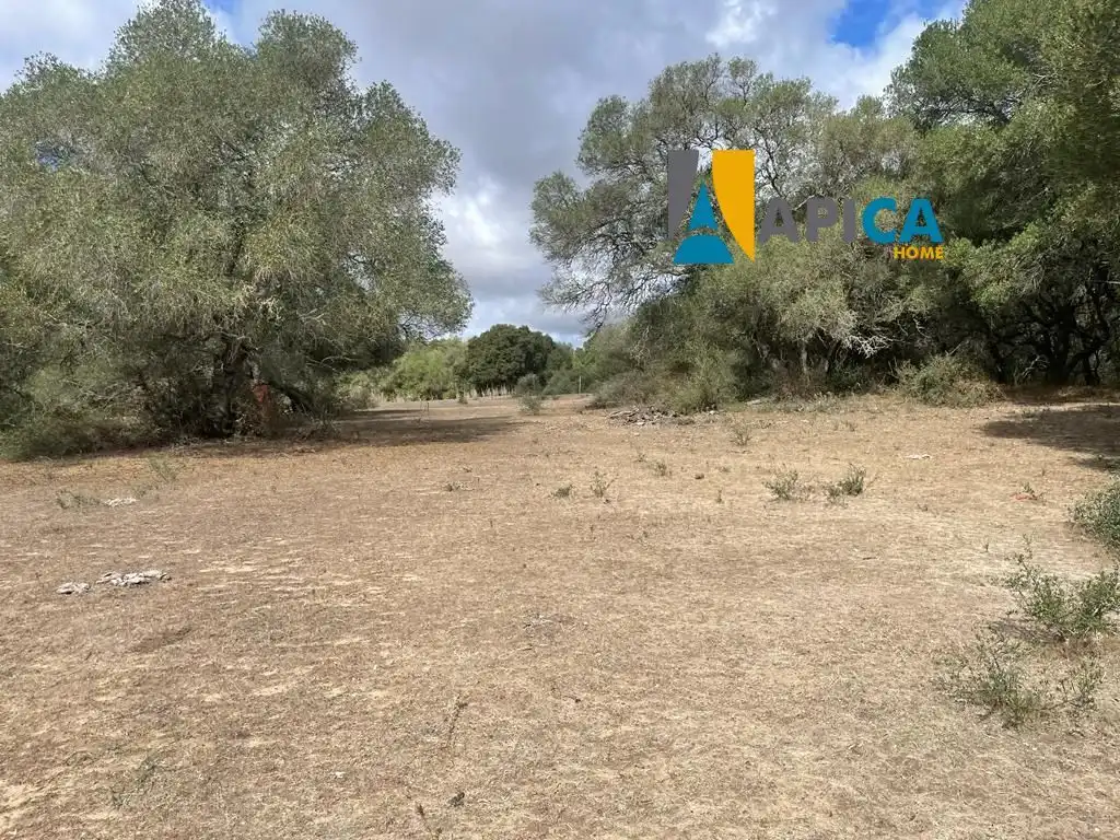 Terreni e lotti in vendita a Vejer, imagen 12