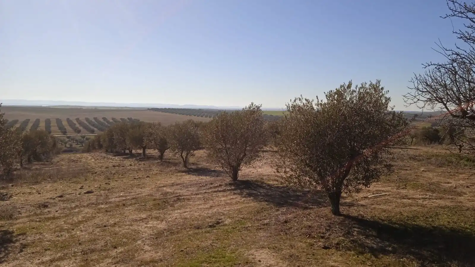 Terreno en venta en Illán de Vacas