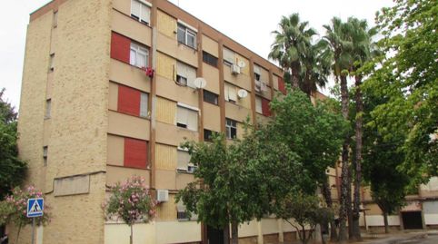 Solvia Inmobiliaria  Piso Algemesí