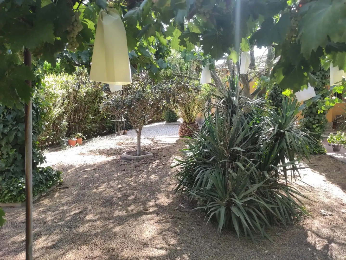 Xalet amb piscina en venda a Miguelturra, imagen 52