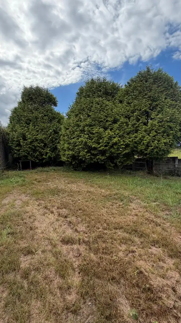 Rural land for sale in La Iglesia, imagen 17