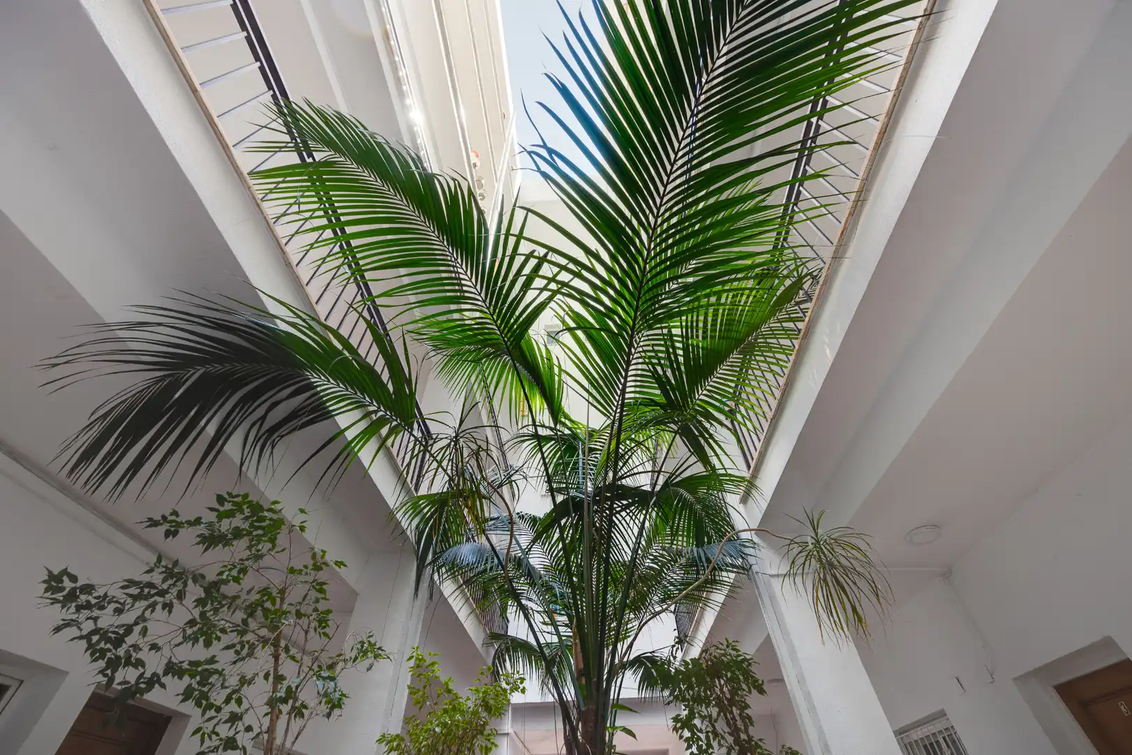 Flat for sale in Torrevieja  with Air Conditioner, Terrace and Balcony
