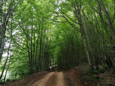 Xalet en venda a Oña 0