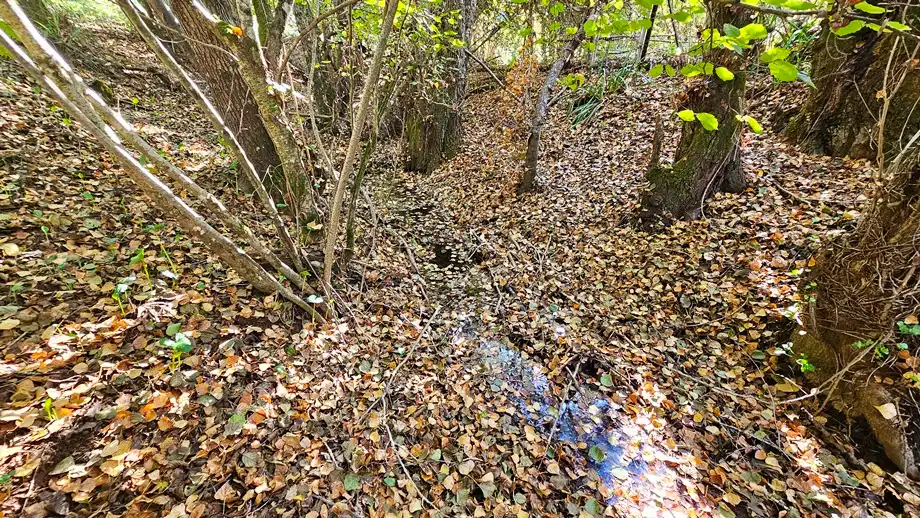 Terreni e lotti in vendita a Galaroza, imagen 25