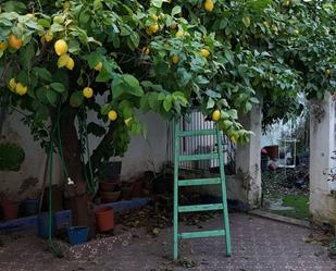 Jardí de Finca rústica en venda en La Algaba amb Terrassa