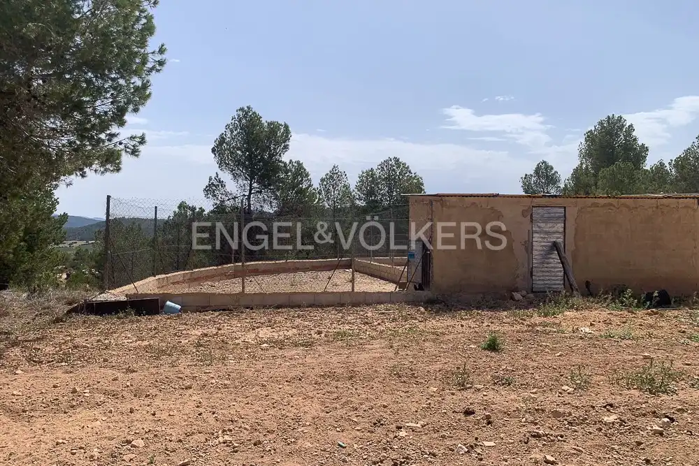 Lands and plots for sale in Requena, imagen 22