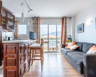 Sala d'estar de Apartament de lloguer en Puerto de la Cruz amb Jardí privat, Piscina i Balcó