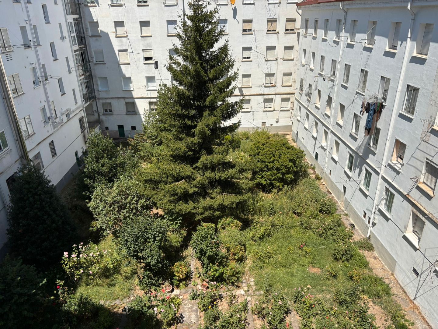 Jardí de Apartament en venda en Burgos Capital amb Calefacció i Parquet