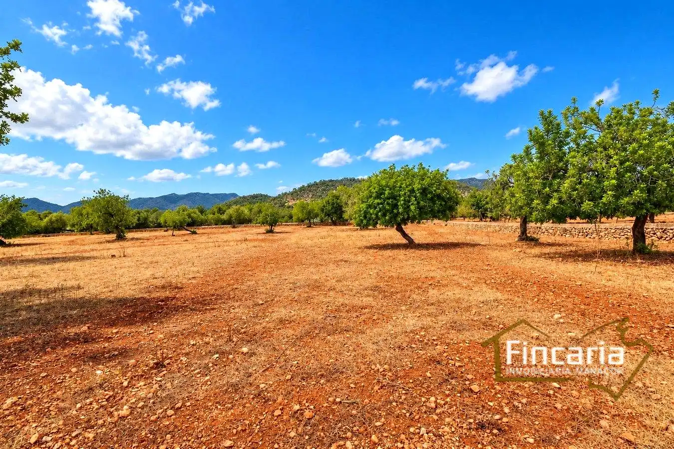 Country homes for sale in Marratxinet