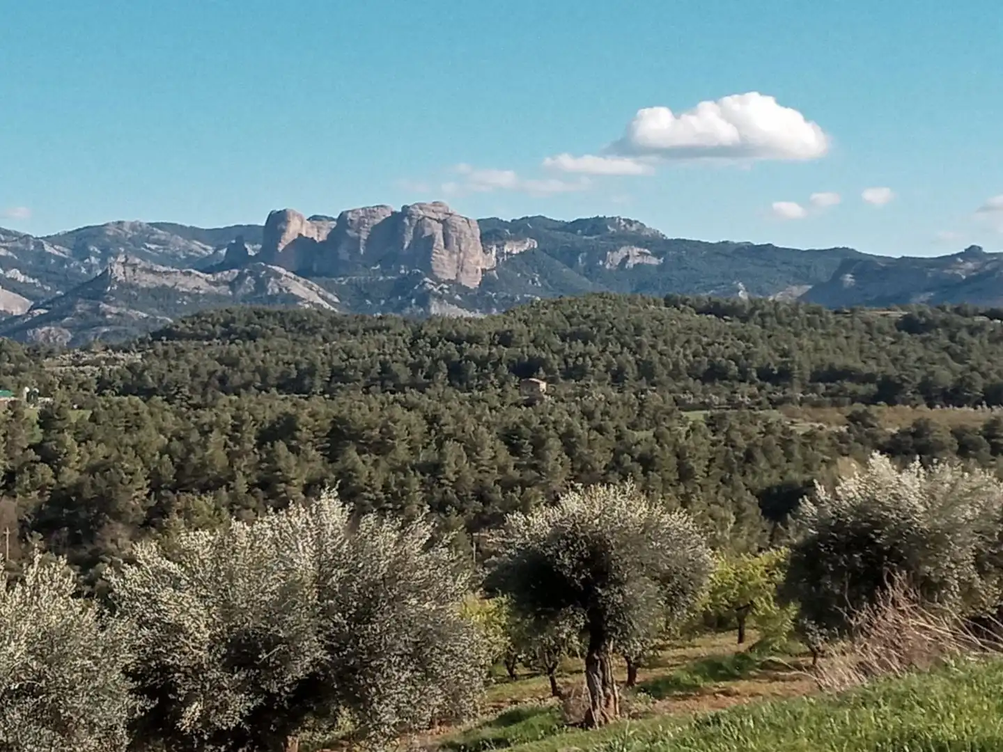 Terreni e lotti in vendita a Lledó, imagen 8