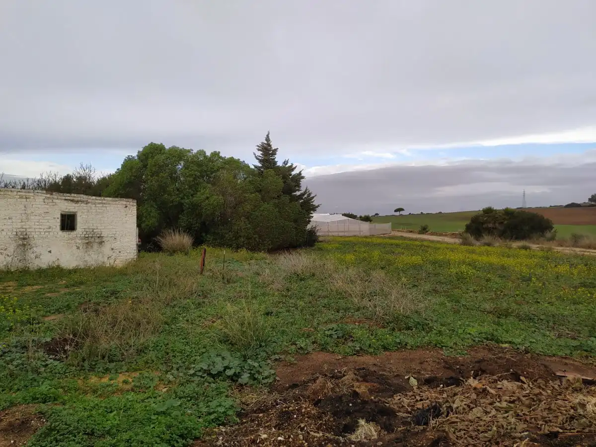 Casa rústica en venda a Pelagatos - Pago del Humo, imagen 5
