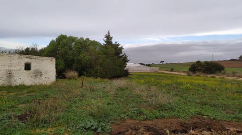 Foto 5 de Finca rústica en venta en Pelagatos - Pago del Humo, Chiclana de la Frontera