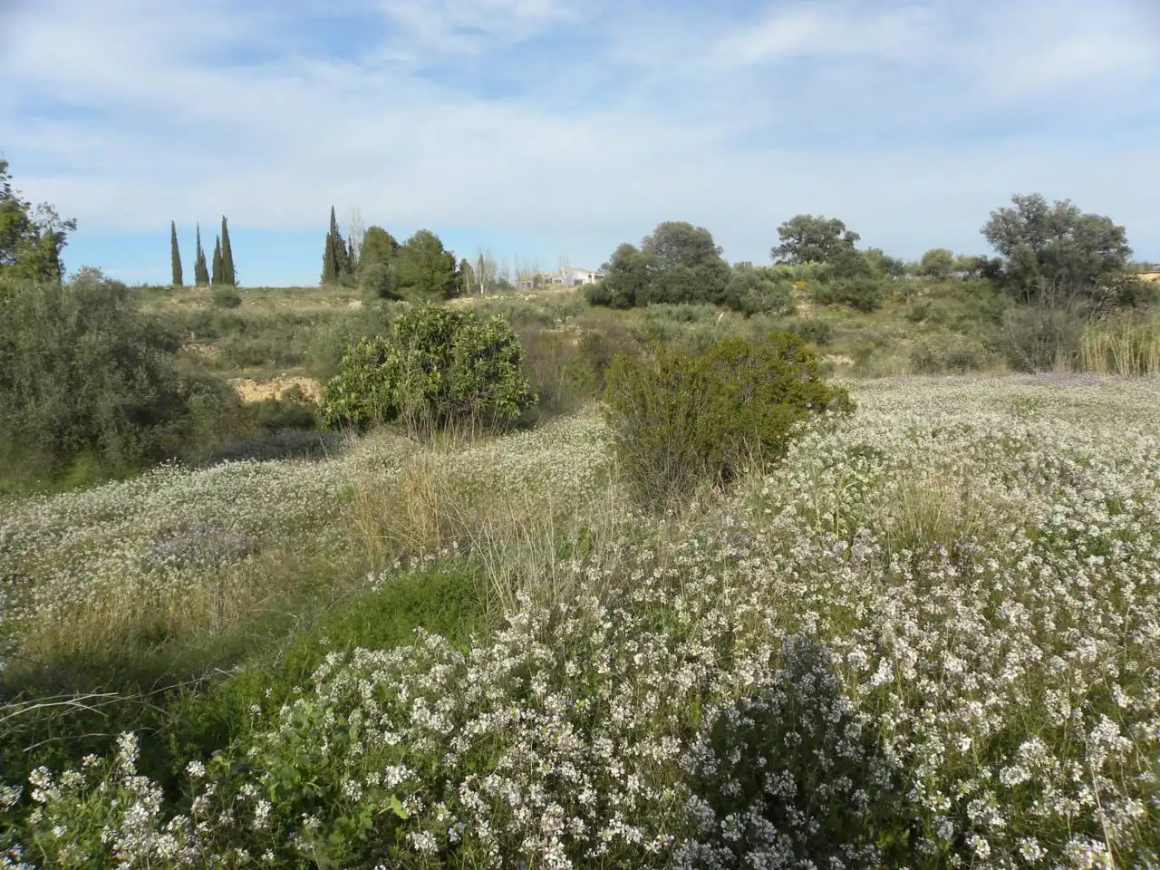 Residencial en venda en Caravaca de la Cruz