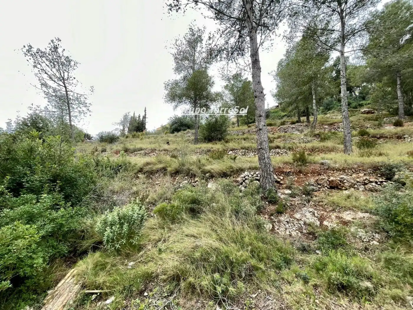 Rural land for sale in Segovia-Priorat