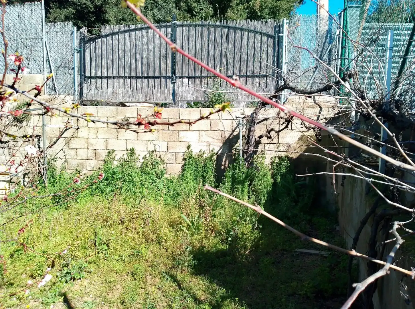 Terreny residencial en venda a Turó de l'Home, imagen 4