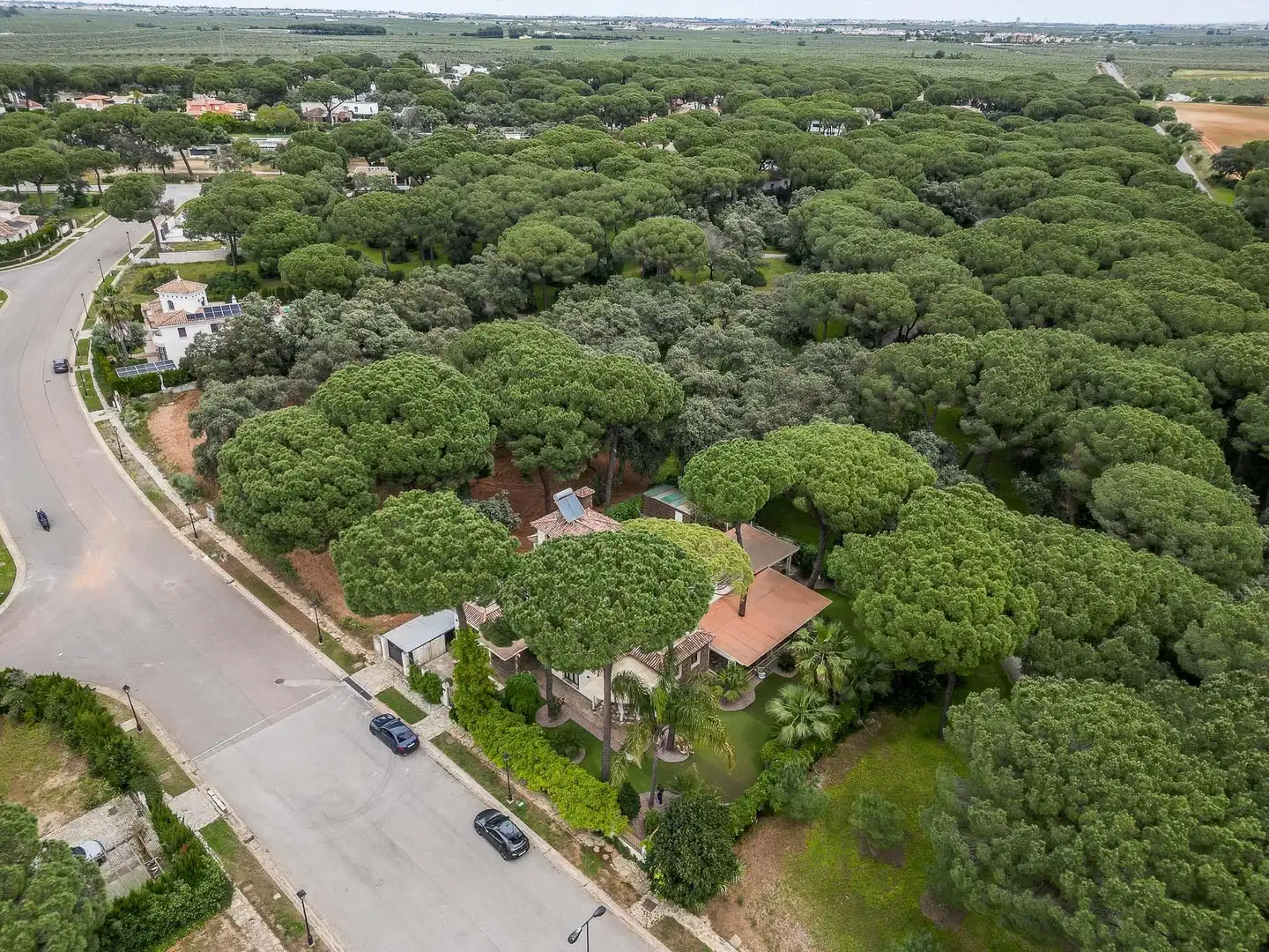 Chalet con piscina en venta en Bollullos de la Mitación, imagen 5