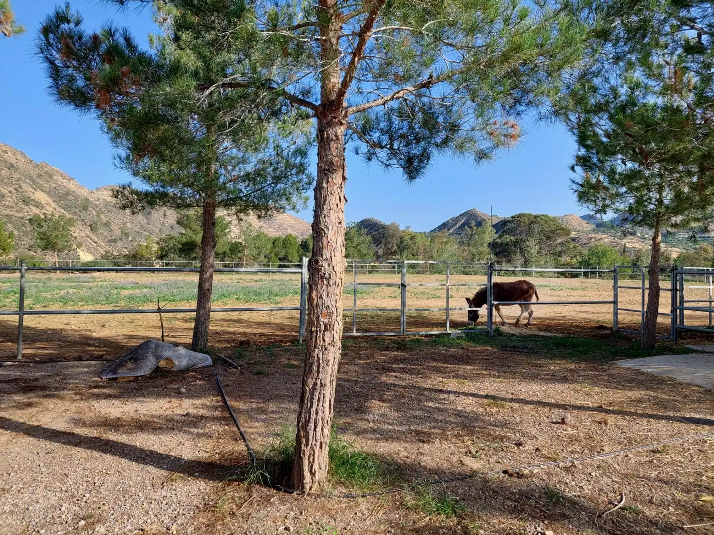 Exterior view of Country homes for sale in Murcia  with Air Conditioner, Heating and Private garden