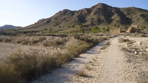 Parcela Rústica de 4.551 m en Abanilla  Entorno Natural con Vistas Espectaculares