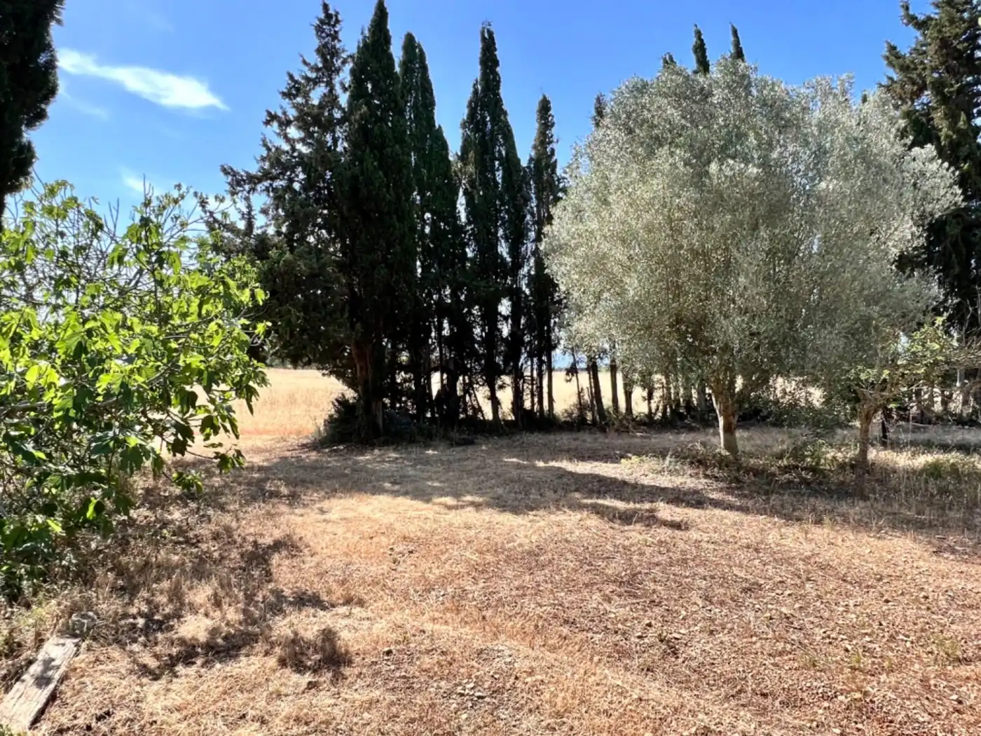 Maison rustique à vendre à Muro, imagen 16