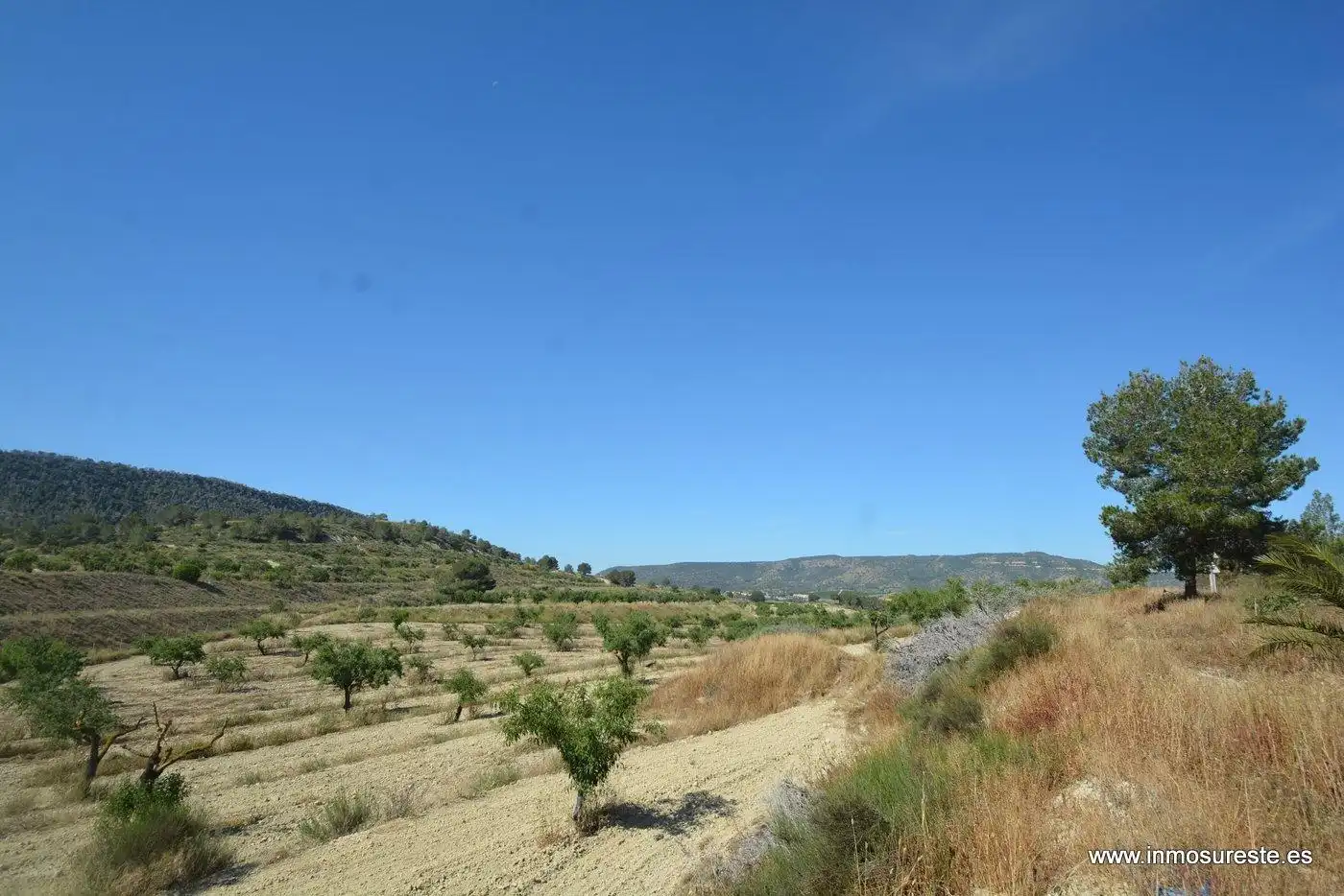 Terreno rustico in vendita a Campo de Murcia, imagen 5