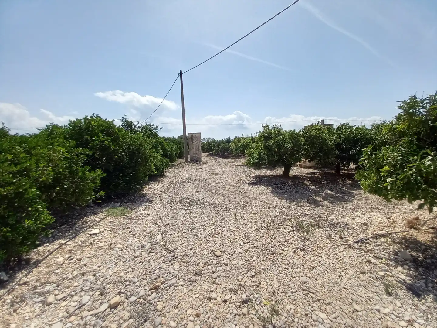 Terreno rustico in vendita a Costa Norte, imagen 41