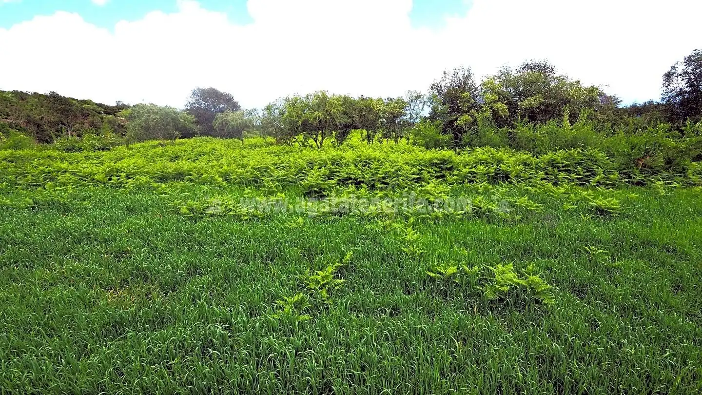 Lands and plots for sale in La Vega - El Amparo - Cueva del Viento, imagen 6