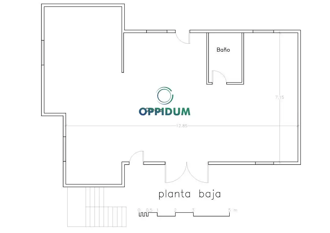 Villa avec jardin à vendre à Avenida ROSALIA CASTRO, imagen 10