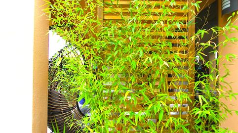 Foto 5 de Edifici en venda a Bonmont Terres Noves, Tarragona