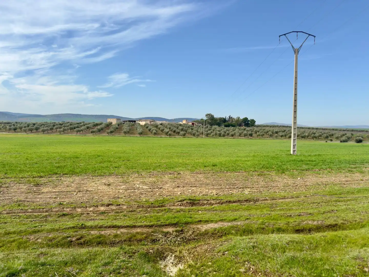 Casa rústica amb terrassa en venda a Torrenueva, imagen 42