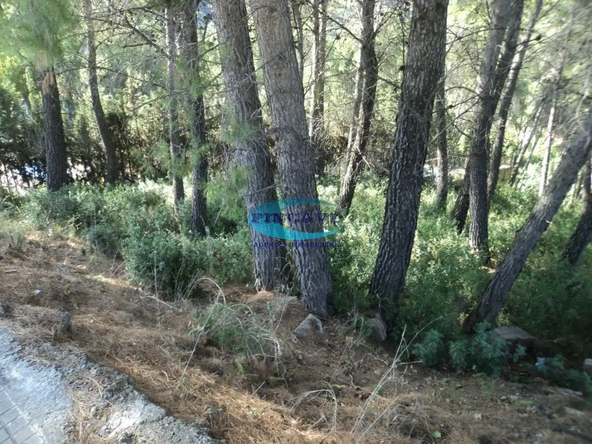 Lands and plots for sale in Bigues i Riells del Fai, imagen 3