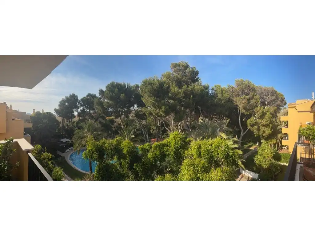 Ático con piscina en venta en Santa Ponça, imagen 17