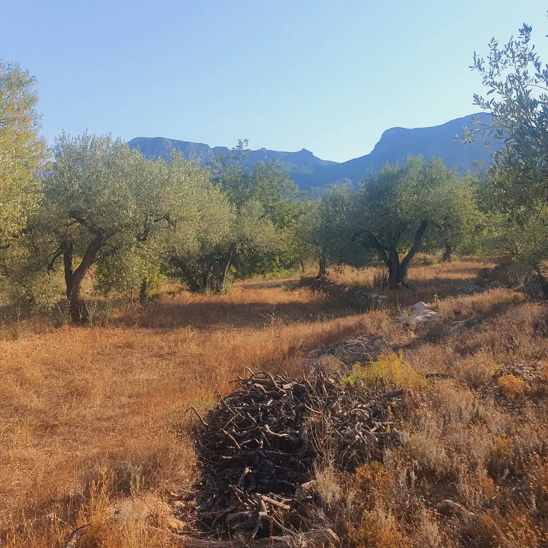 Terrain rustique à vendre à Rasquera, imagen 15