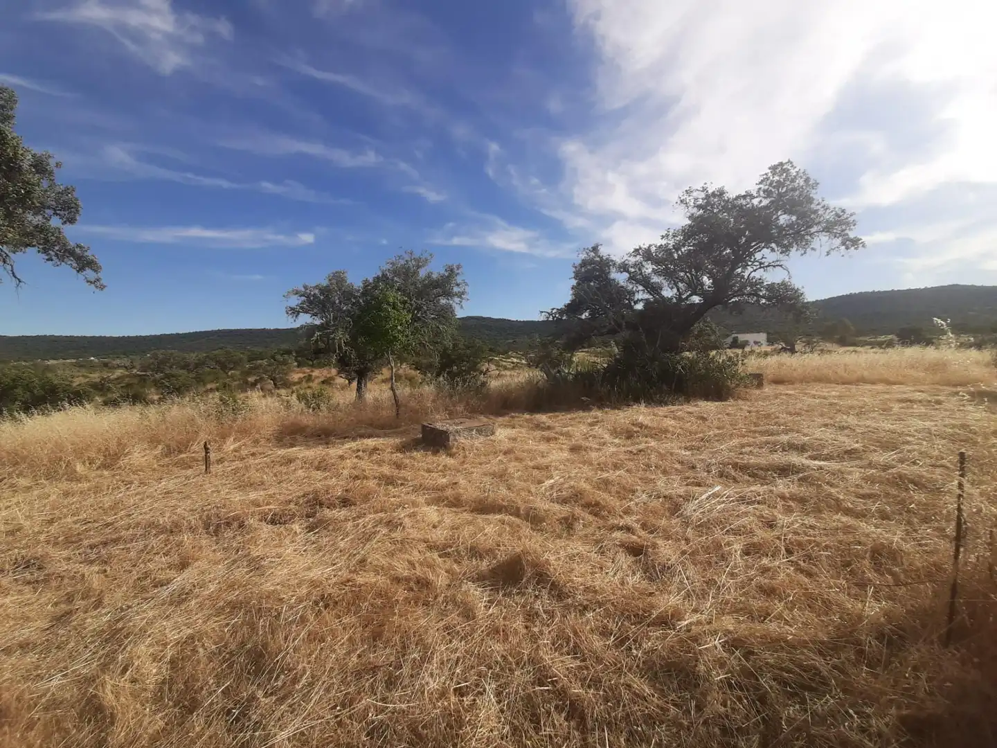Casa o xalet en venda en Cáceres amb Calefacció, Jardí privat i Terrassa
