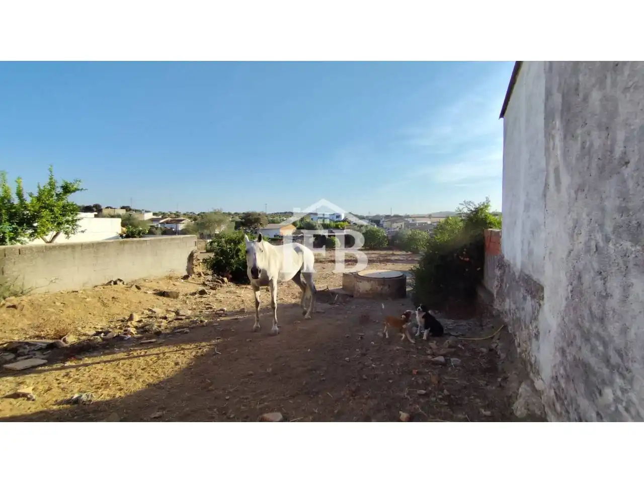 Rural land for sale in Calle San Lorenzo, imagen 15