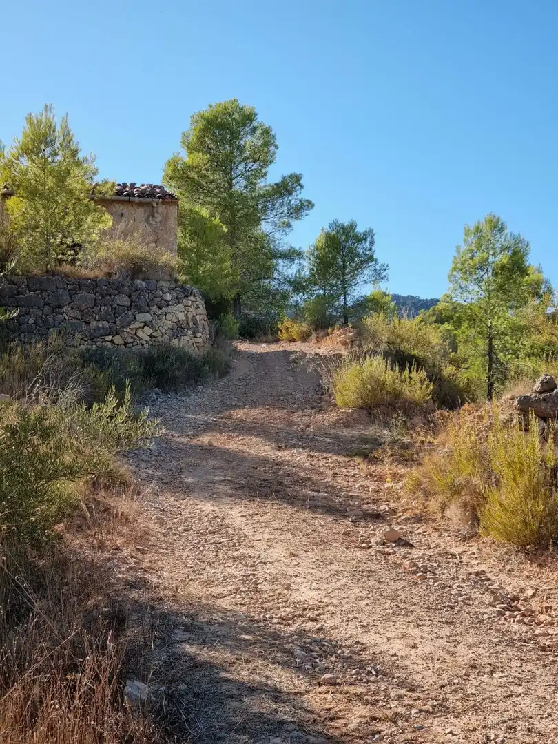 Lands and plots for sale in poligono 7 parcela 274, imagen 15