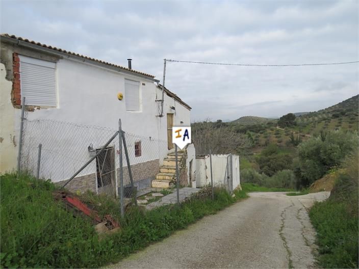 Vista exterior de Finca rústica en venda en Fuensanta de Martos