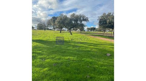 Foto 5 de Casa o xalet en venda a Aliseda, Cáceres