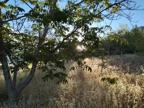 Terreni e lotti in vendita a la fuente de la higuera 22, imagen 7