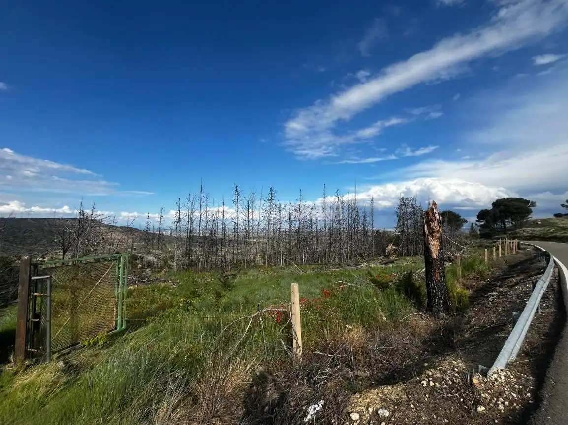 Land for sale in Borja
