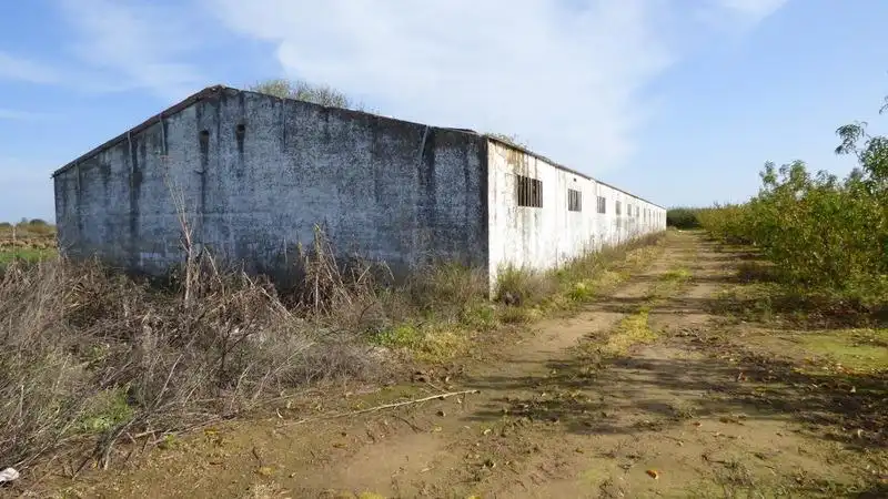 Vista exterior de Nave industrial en venta en Puebla de la Calzada