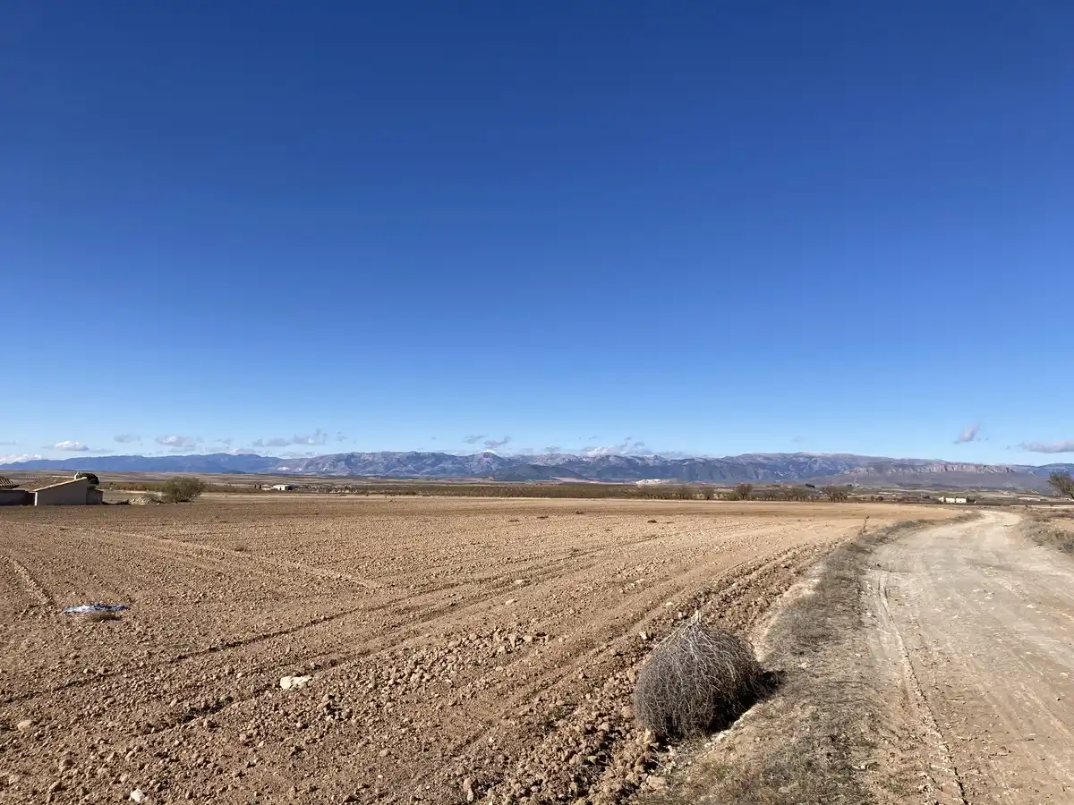 Rural land for sale in Pr Pago Del Campillo, imagen 7