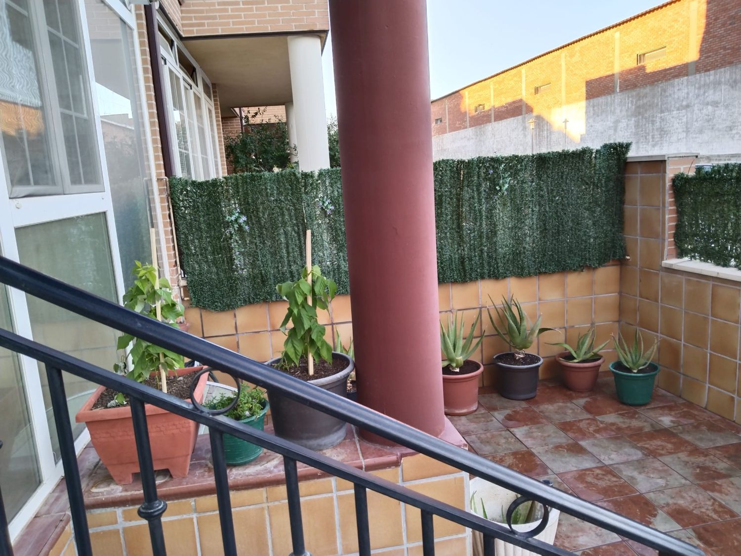 Terrace of Single-family semi-detached for sale in Cistérniga  with Heating, Parquet flooring and Terrace