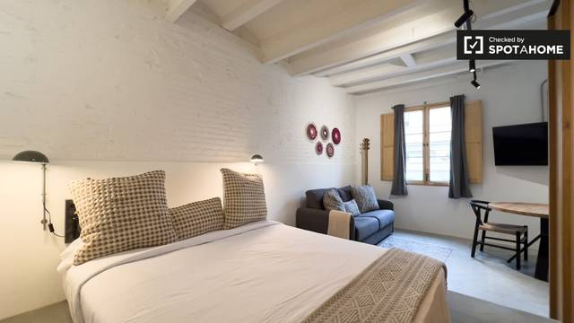 Piso en Alquiler en Barri Gòtic