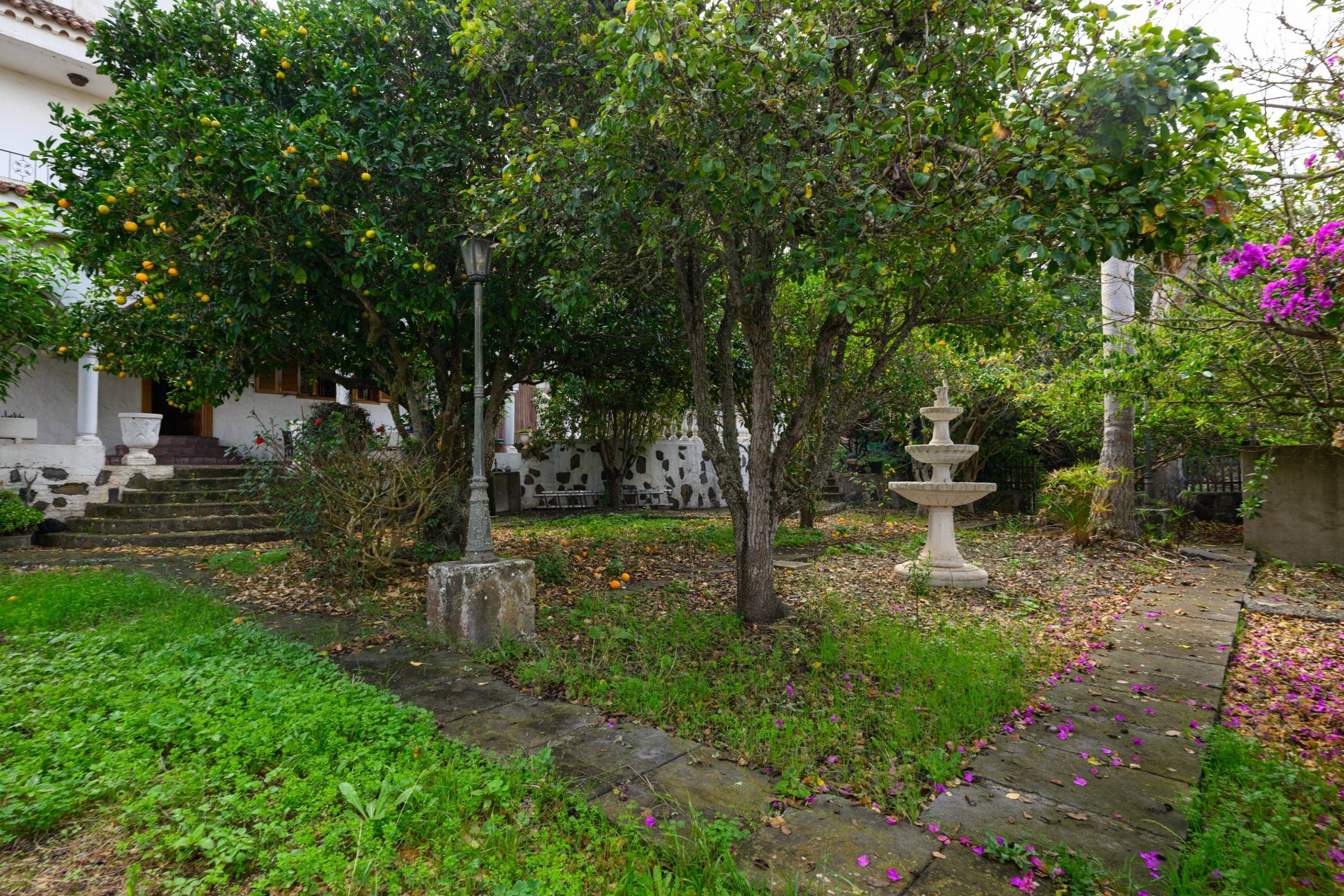 Jardín de Casa o chalet en venta en Teror