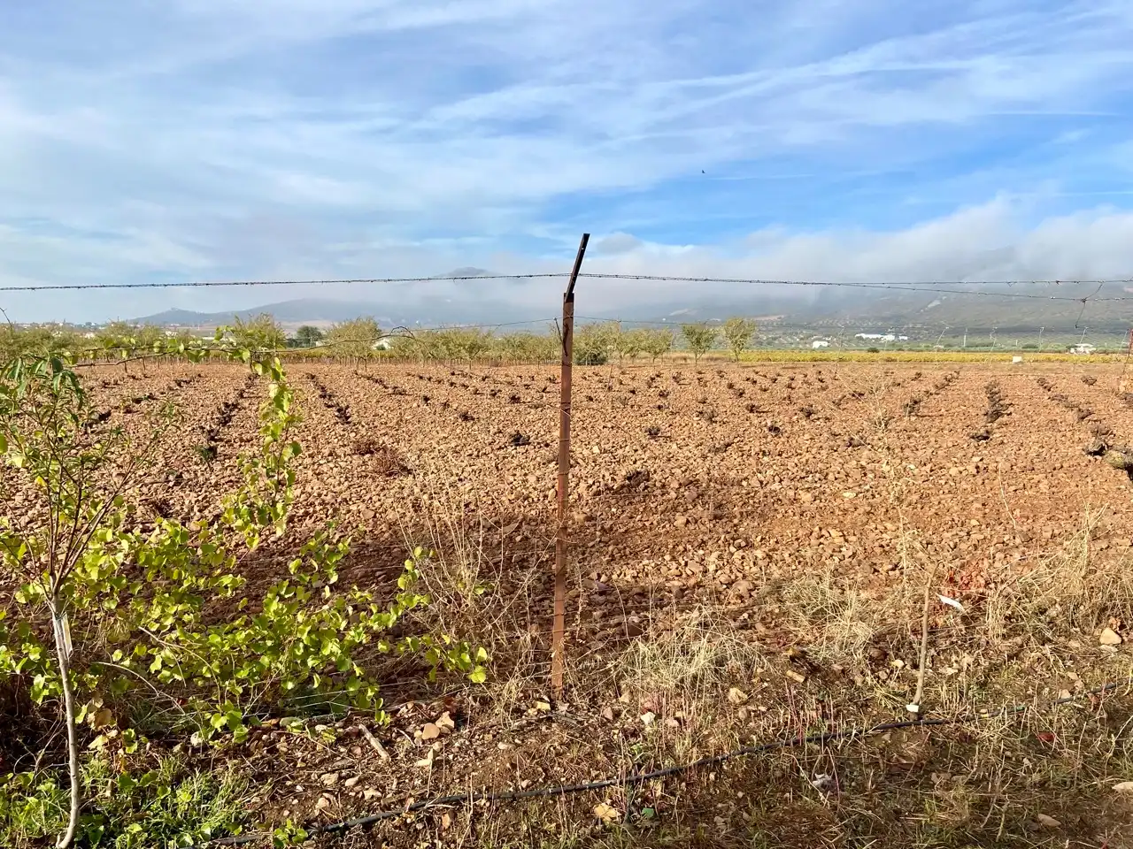 Casa o xalet en venda en Villarrubia de los Ojos amb Aire condicionat, Calefacció i Jardí privat
